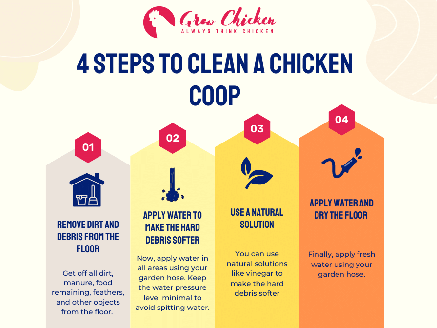 4 Steps to clean a chicken coop