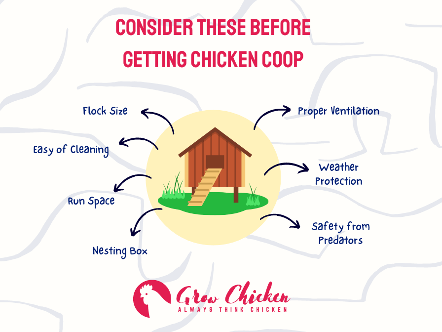 Consider these Before Getting Chicken Coop