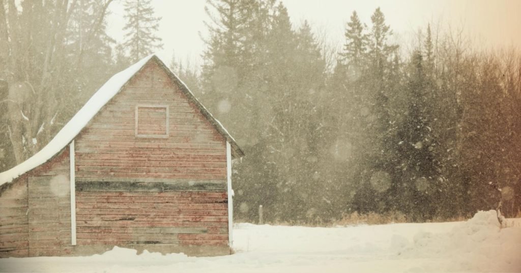 Does Chicken Coop Need to Be Insulated