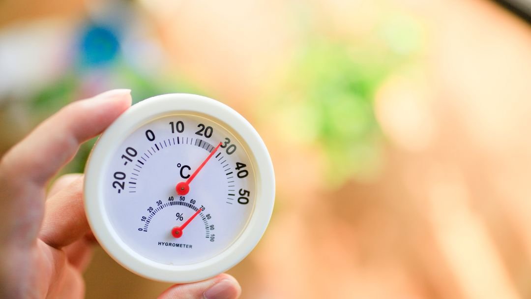 What is the Ideal Humidity for A Chicken Coop? Grow Chicken