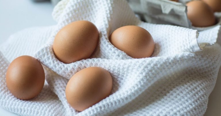 Fertile Eggs vs Non-Fertile Eggs
