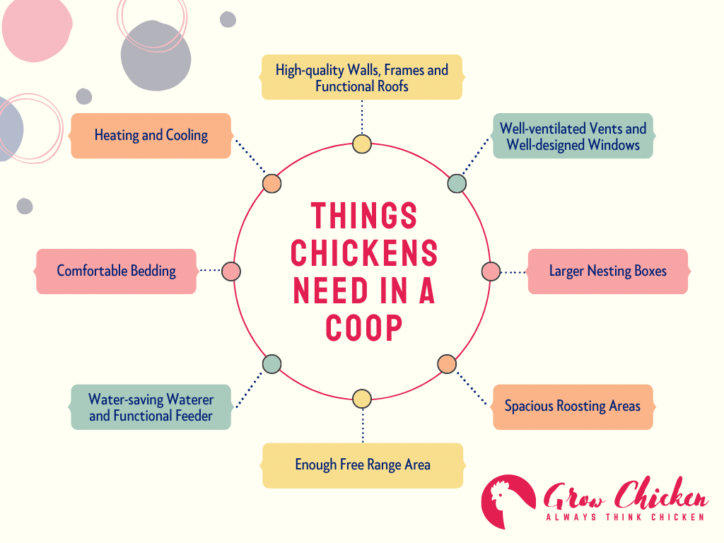 Things Chickens Need In A Coop