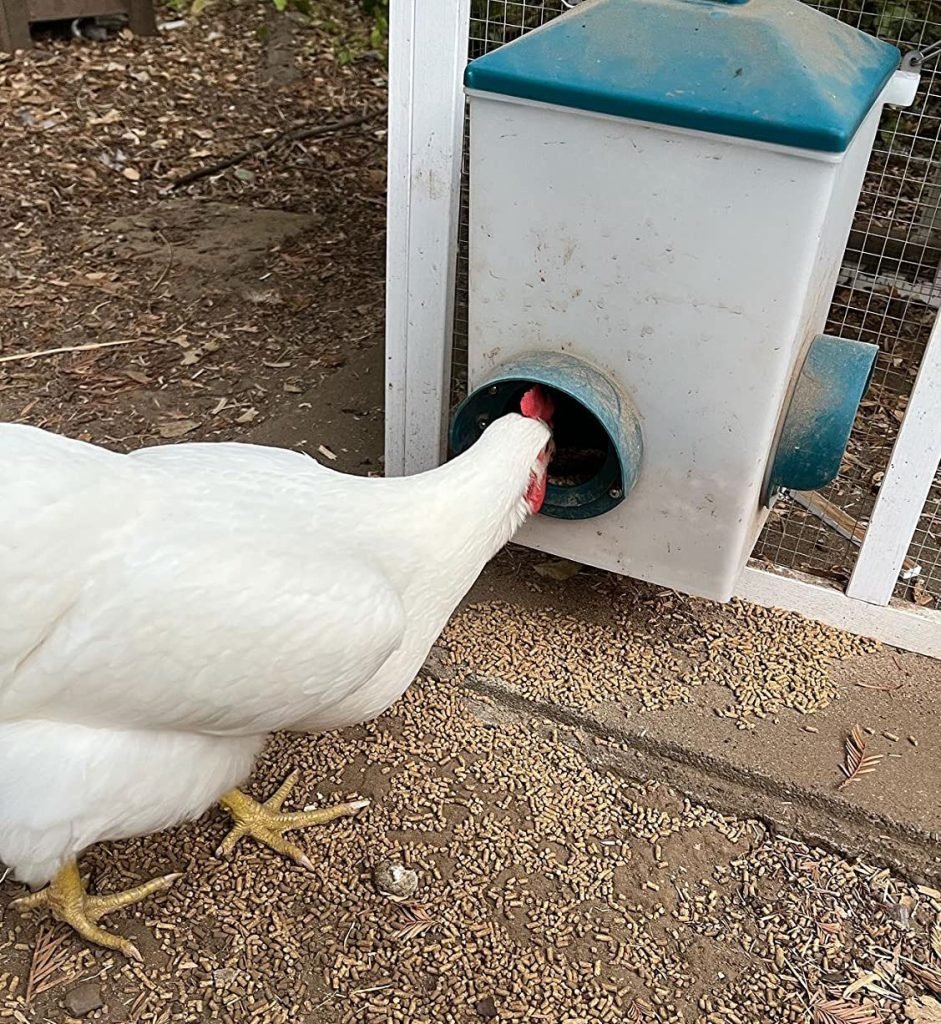 My chickens waste food from the KEBONNIXS chicken feeder