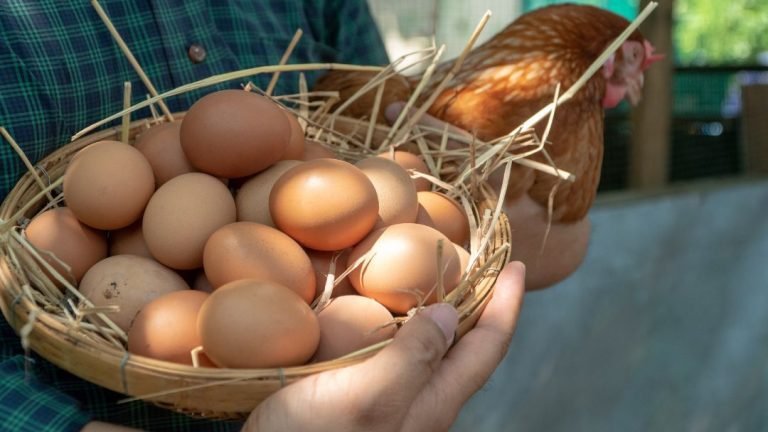 Discover the Incredible Health Benefits of Farm Fresh Eggs