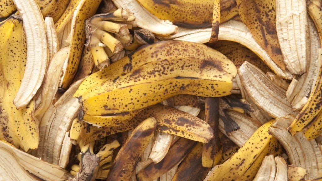 Processing Banana Peels