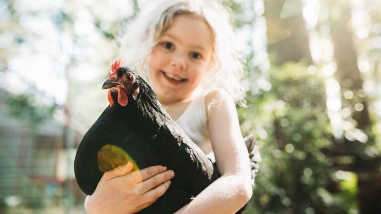 How to Get Chickens to Like You: Proven Strategies for Building a Bond