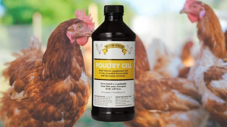 Rooster Booster Poultry Cell