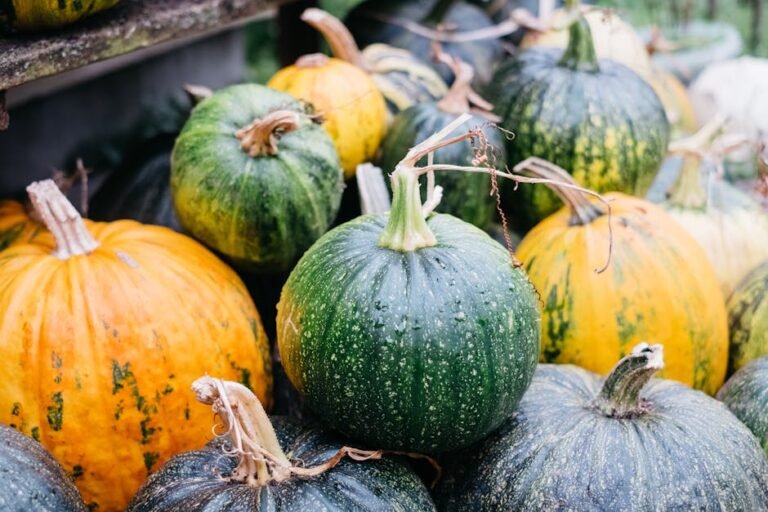 Vibrant green and yellow pumpkins on display at a market stall in Warsaw, Poland.