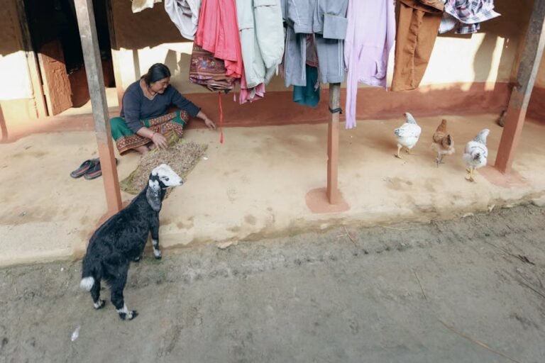 A woman sits outdoors with a goat and chickens nearby, under hanging clothes.