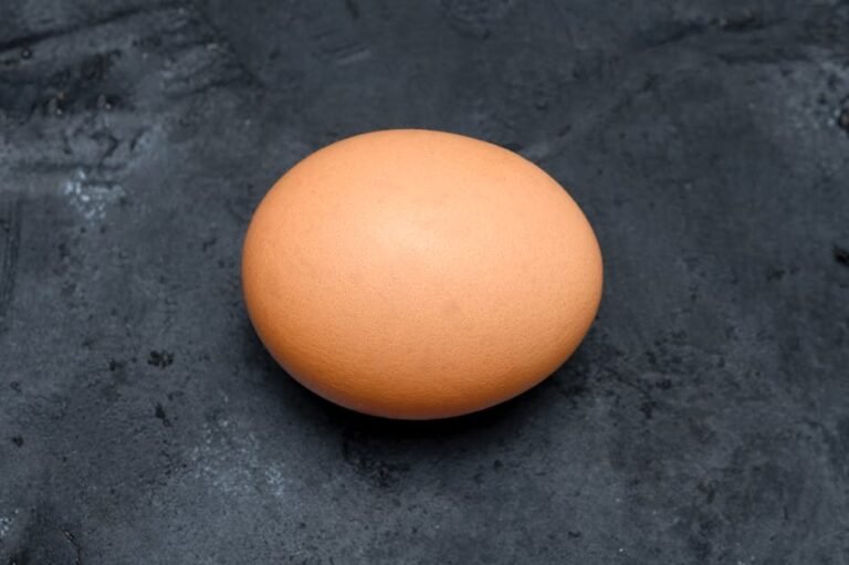 A brown chicken egg resting on a textured dark surface in Perú.