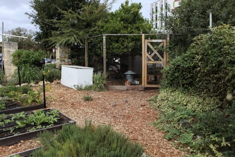 Lively urban garden featuring a chicken coop and various plants.